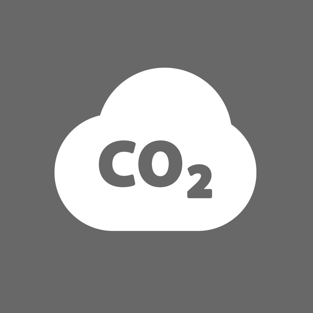 Carbon Mitigation